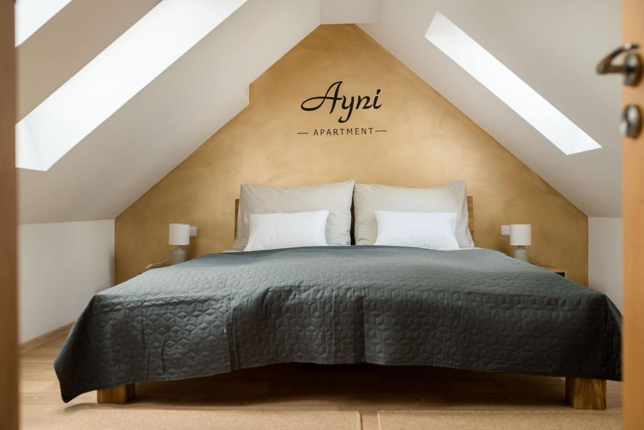 Ayni Apartman セミリ エクステリア 写真