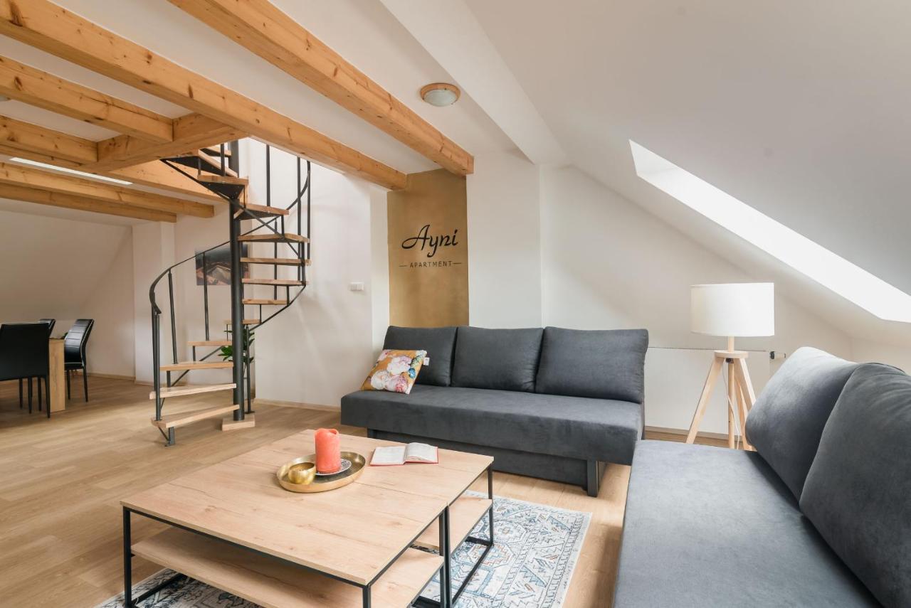 Ayni Apartman セミリ エクステリア 写真