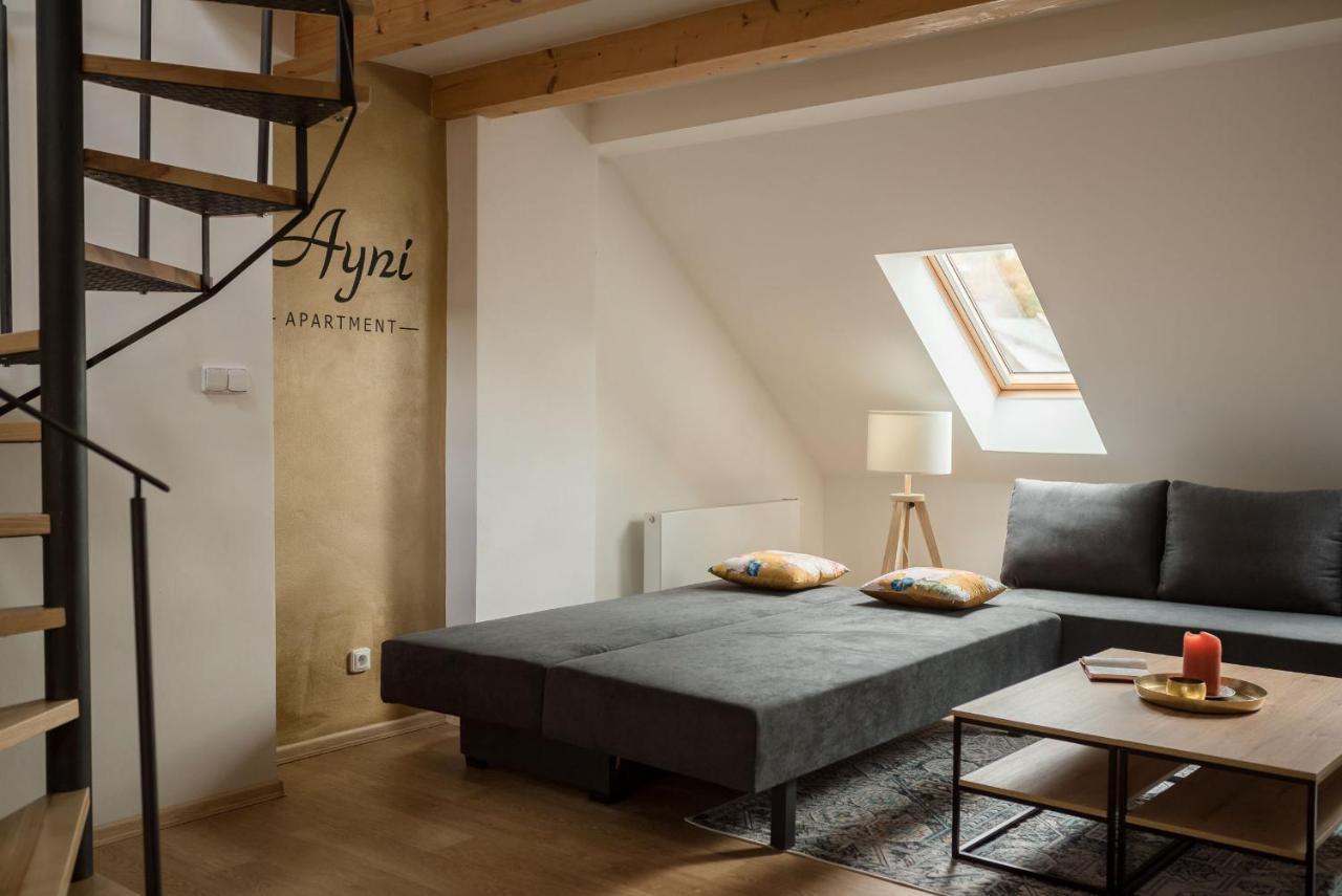 Ayni Apartman セミリ エクステリア 写真