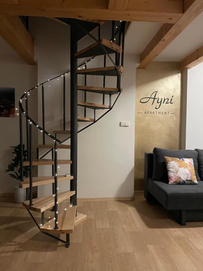 Ayni Apartman セミリ エクステリア 写真